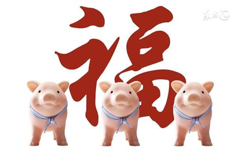 屬豬 年份|屬豬今年幾歲｜屬豬民國年次、豬年西元年